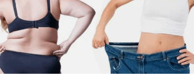 Dieta menuko printzipioak Maite dira